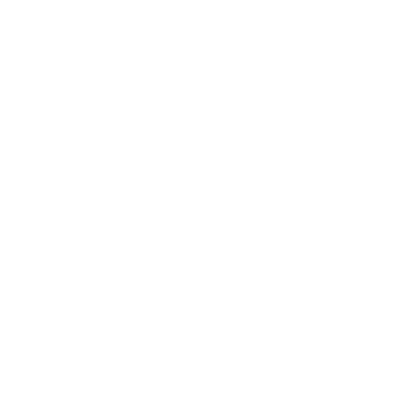 DSLAM Logo weiß (negativ)
